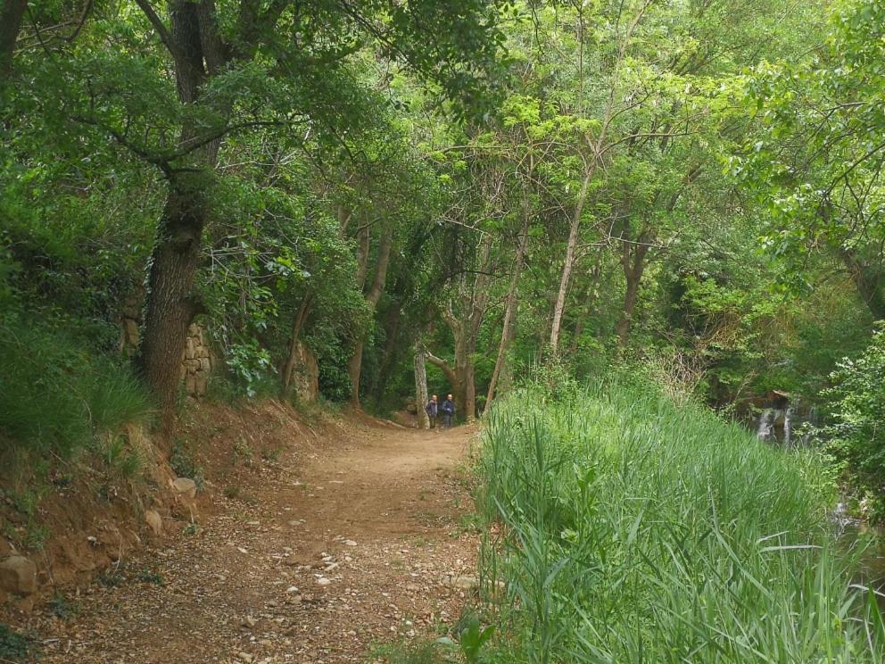 Bed and Breakfast La Casa Dels Ocells (Adults Only) Granollers de Florejacs Exterior foto