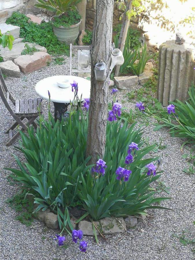 Bed and Breakfast La Casa Dels Ocells (Adults Only) Granollers de Florejacs Exterior foto